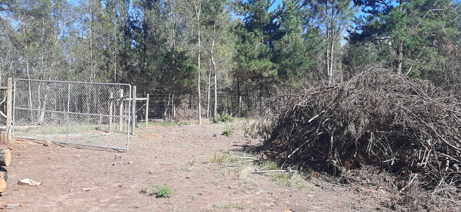 Commercial Property for Sale in Friemersheim Western Cape